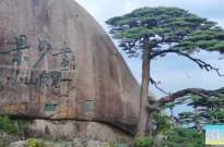 四季黄山 相约夏天 | 【我与迎客松的故事】面对逆境，处之泰然