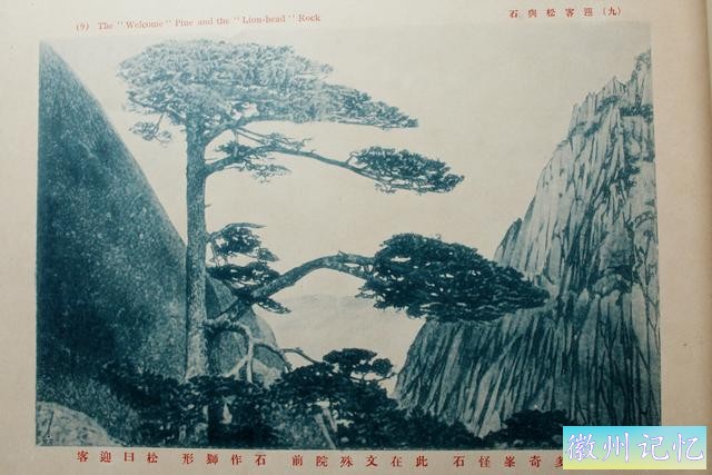 百年老照片，破解黄山迎客松真假之谜-1.jpg