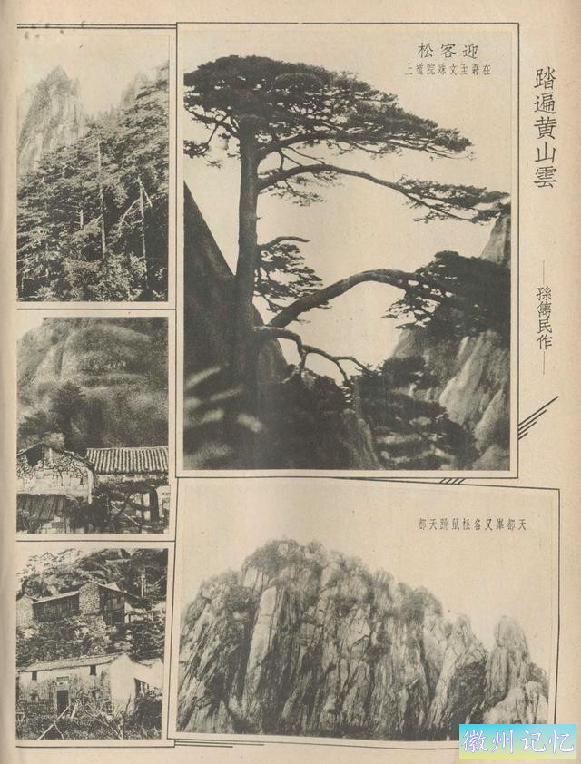 百年老照片，破解黄山迎客松真假之谜-7.jpg