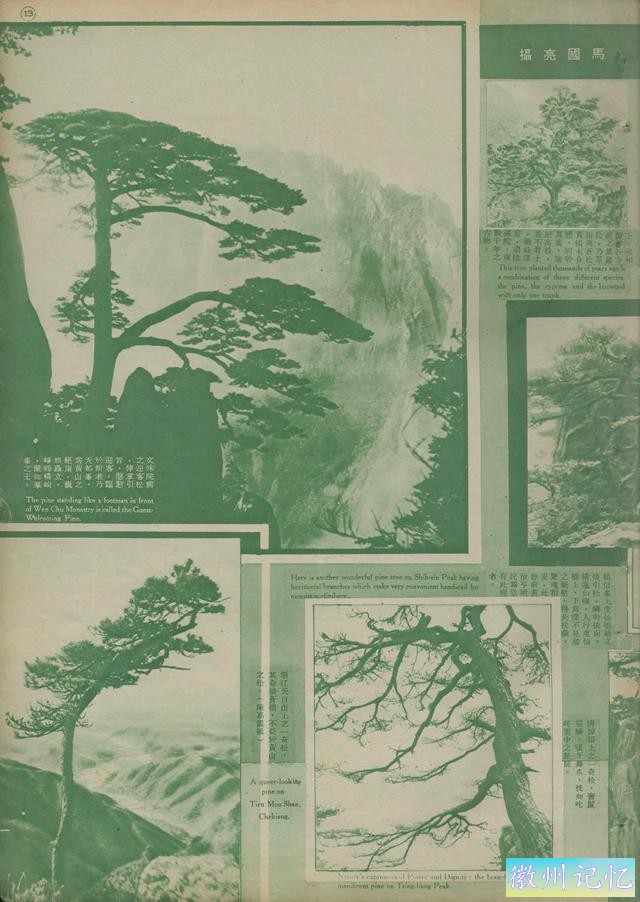 百年老照片，破解黄山迎客松真假之谜-8.jpg