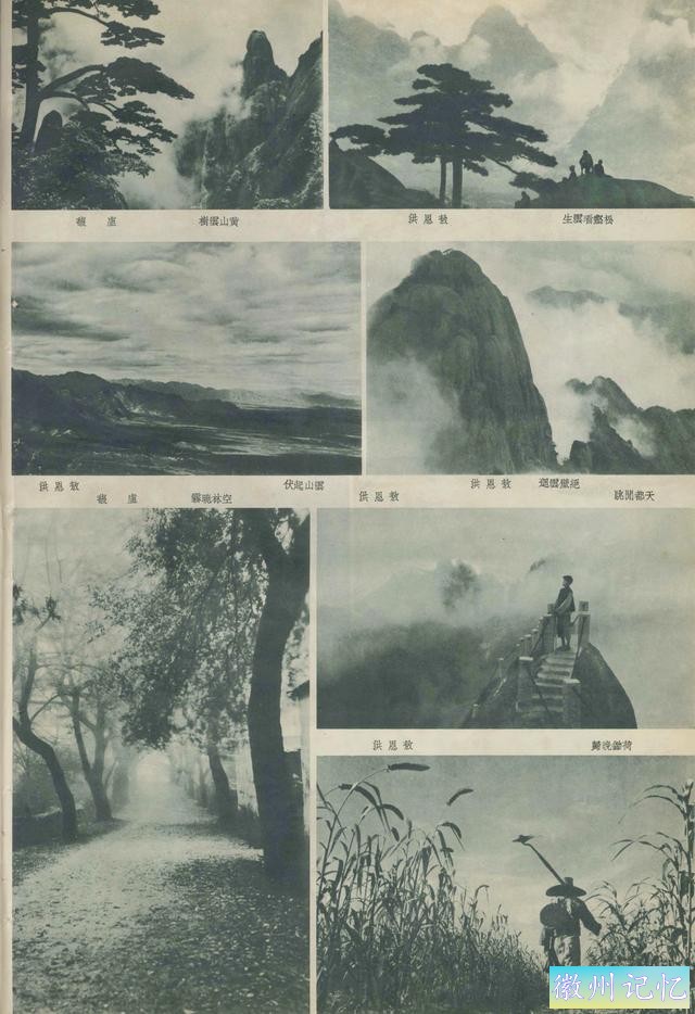 百年老照片，破解黄山迎客松真假之谜-20.jpg