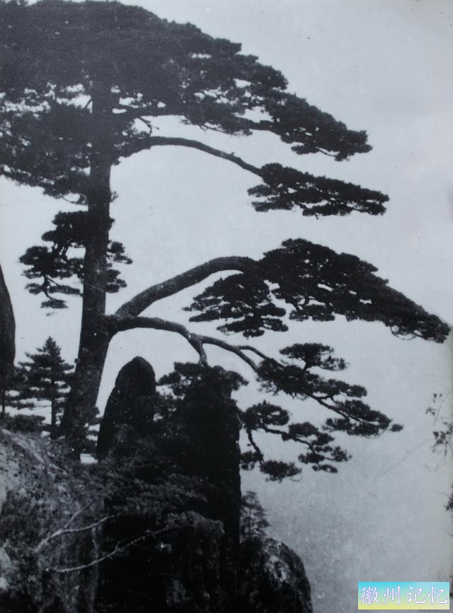 百年老照片，破解黄山迎客松真假之谜-23.jpg