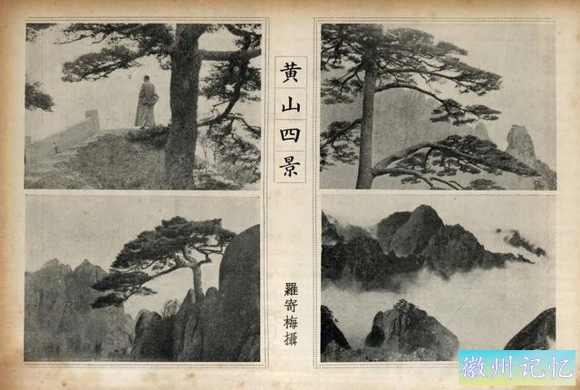 百年老照片，破解黄山迎客松真假之谜-25.jpg