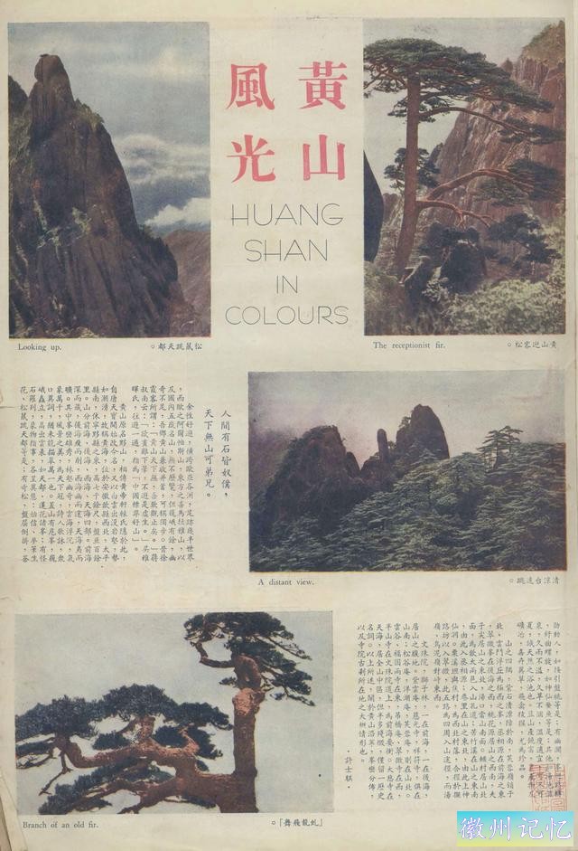 百年老照片，破解黄山迎客松真假之谜-26.jpg