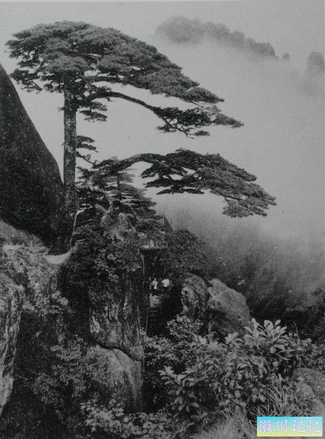 百年老照片，破解黄山迎客松真假之谜-29.jpg