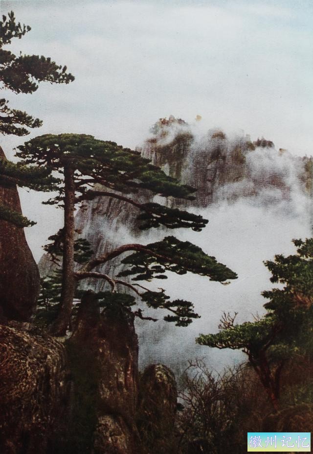 百年老照片，破解黄山迎客松真假之谜-27.jpg