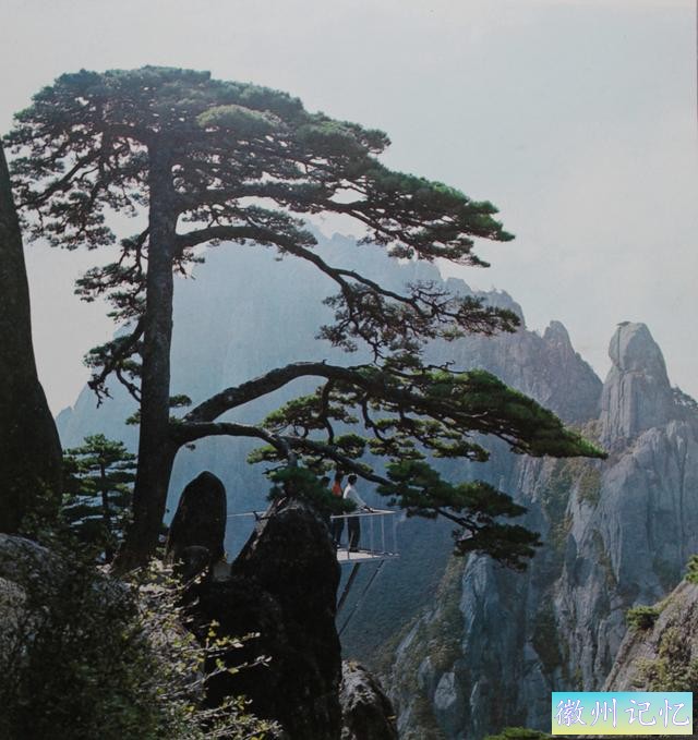 百年老照片，破解黄山迎客松真假之谜-30.jpg