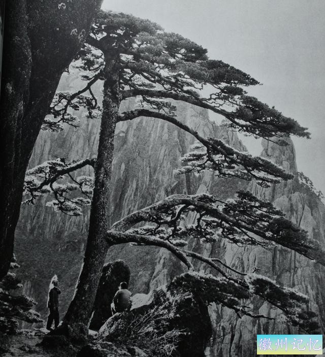 百年老照片，破解黄山迎客松真假之谜-28.jpg