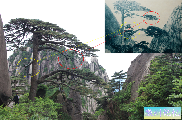 百年老照片，破解黄山迎客松真假之谜-31.jpg