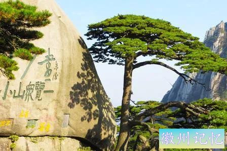 分享大美黄山的迎客松 美呆啦-1.jpg