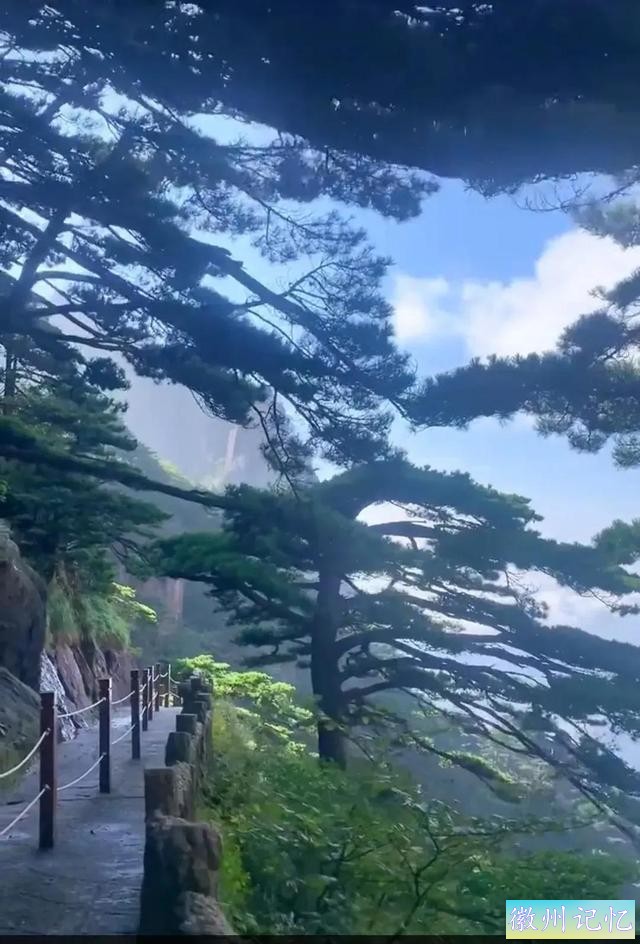 分享大美黄山的迎客松 美呆啦-4.jpg