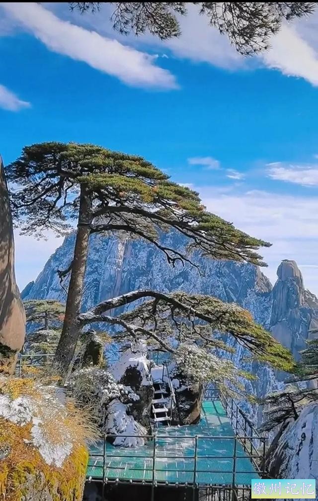 分享大美黄山的迎客松 美呆啦-6.jpg