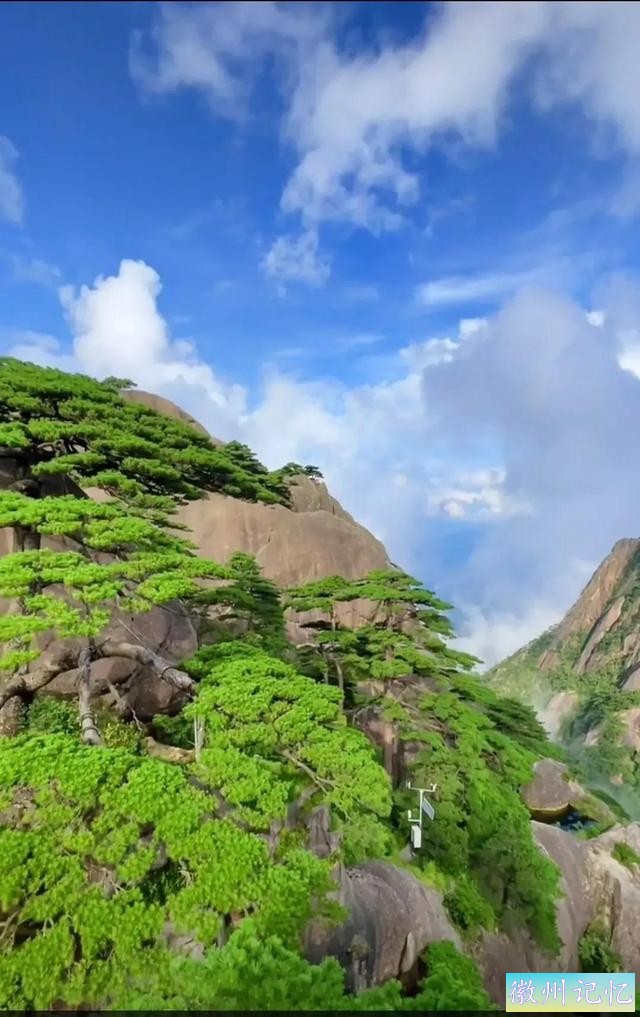 分享大美黄山的迎客松 美呆啦-9.jpg