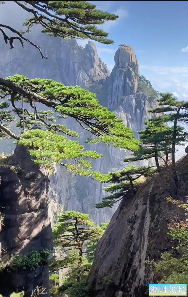 分享大美黄山的迎客松 美呆啦-10.jpg