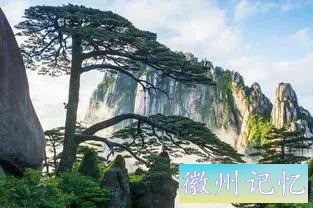 分享大美黄山的迎客松 美呆啦-13.jpg