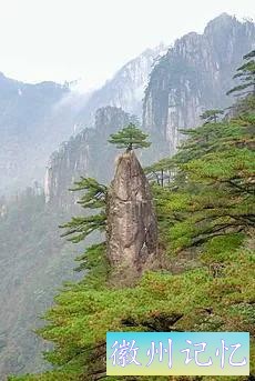 分享大美黄山的迎客松 美呆啦-18.jpg