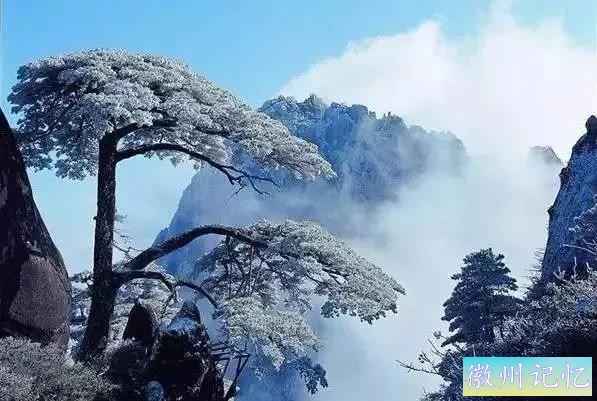 分享大美黄山的迎客松 美呆啦-31.jpg