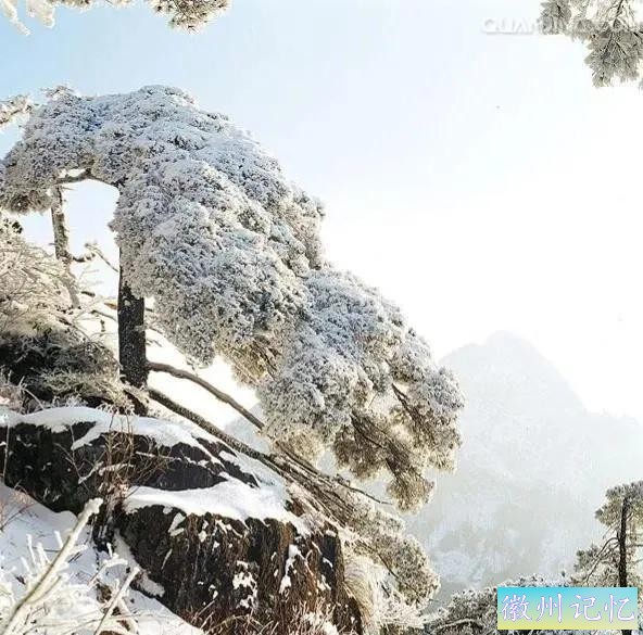 分享大美黄山的迎客松 美呆啦-30.jpg