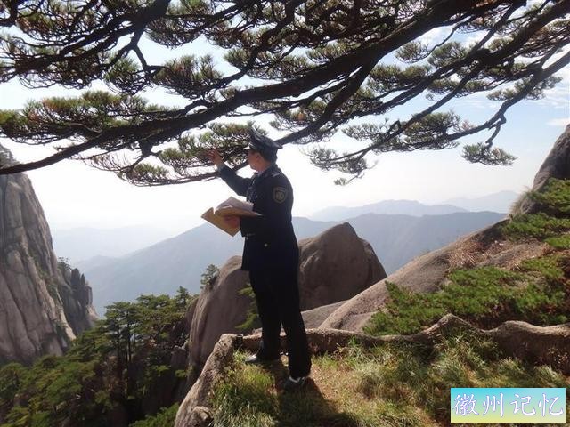 黄山迎客松800多年树龄，迎来第五次体检：揭开大众怀疑假树真相-5.jpg