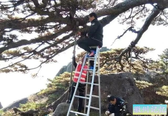 天天在黄山之巅看迎客松，是一种什么体验？-4.jpg