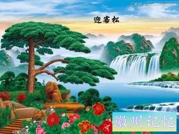 最美迎客松，精美手机壁纸-2.jpg