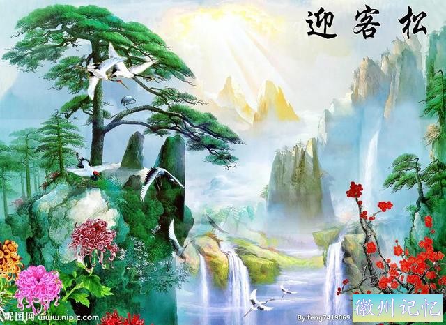 最美迎客松，精美手机壁纸-1.jpg