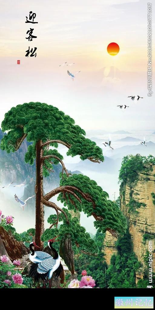 最美迎客松，精美手机壁纸-6.jpg
