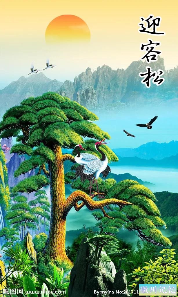 最美迎客松，精美手机壁纸-10.jpg