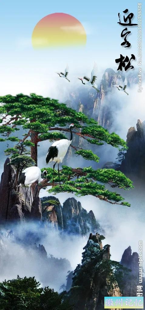 最美迎客松，精美手机壁纸-9.jpg