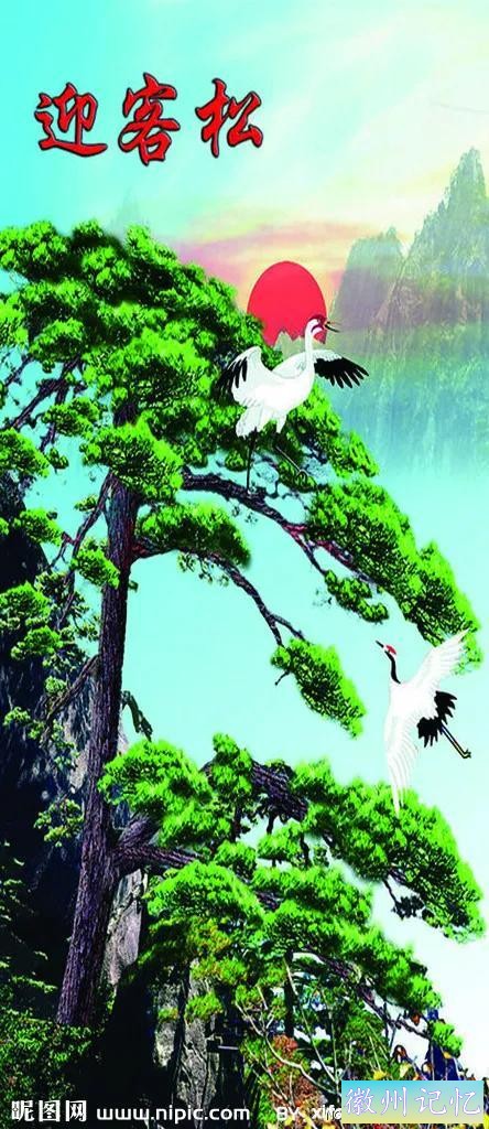最美迎客松，精美手机壁纸-15.jpg