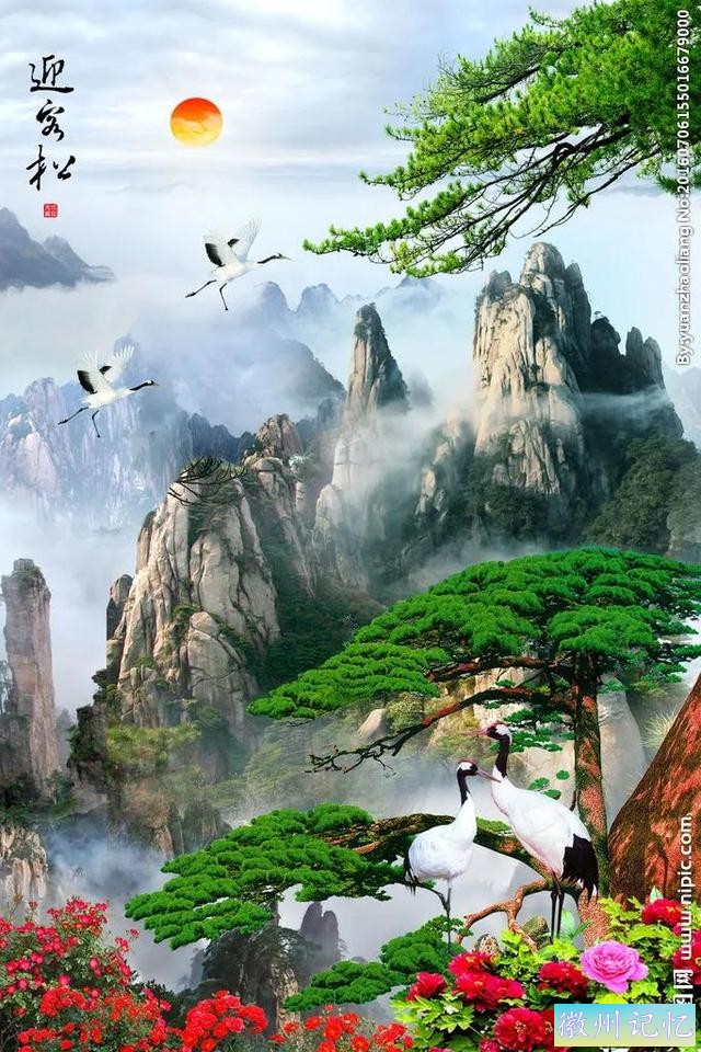 最美迎客松，精美手机壁纸-17.jpg