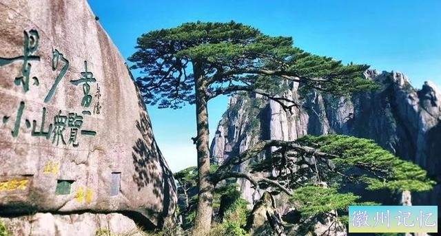 魅力黄山-迎客松-1.jpg