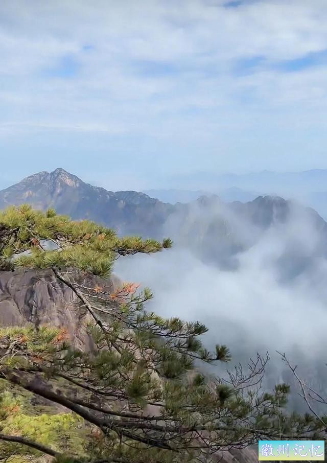 魅力黄山-迎客松-3.jpg