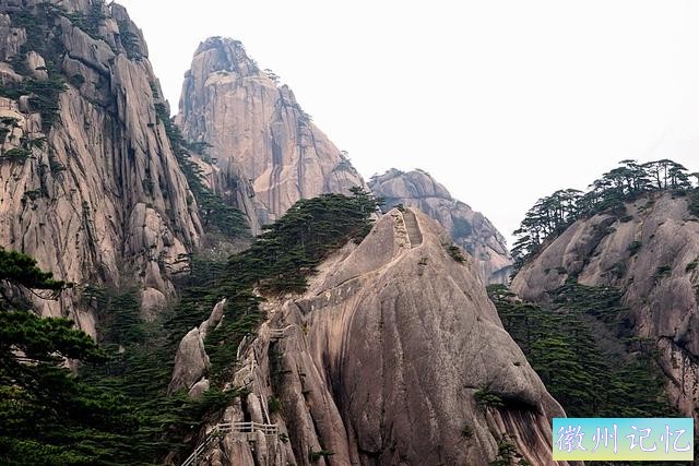 黄山“四绝”之一的迎客松-1.jpg