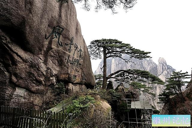 黄山“四绝”之一的迎客松-6.jpg