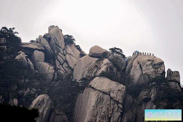 黄山“四绝”之一的迎客松-12.jpg