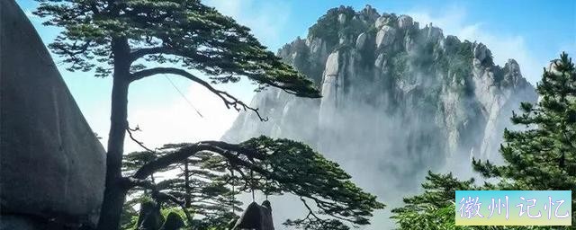 迎客松的寓意是什么呢？迎客松又分哪几类？-1.jpg