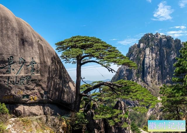 树龄1300年的迎客松，多年来似乎一直没变样，是真树还是假树-7.jpg
