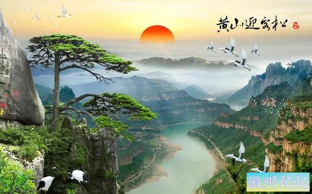 树龄1300年的迎客松，多年来似乎一直没变样，是真树还是假树-6.jpg