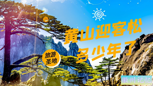 黄山迎客松多少年了？它是配有“警卫”的树木，受到特级护理-1.jpg