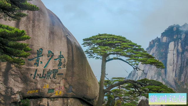 黄山迎客松多少年了？它是配有“警卫”的树木，受到特级护理-4.jpg