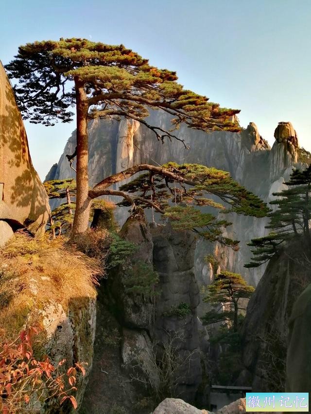 60幅黄山迎客松美图，太好看了-4.jpg