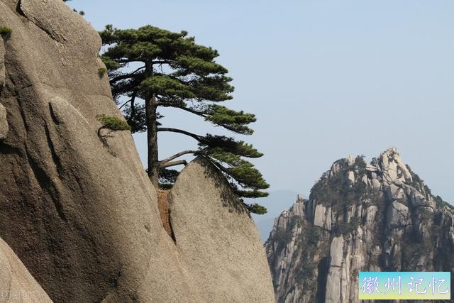 60幅黄山迎客松美图，太好看了-24.jpg