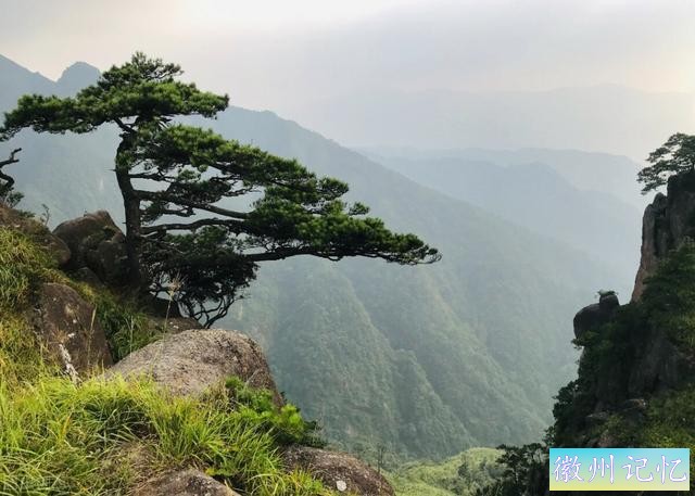 60幅黄山迎客松美图，太好看了-44.jpg