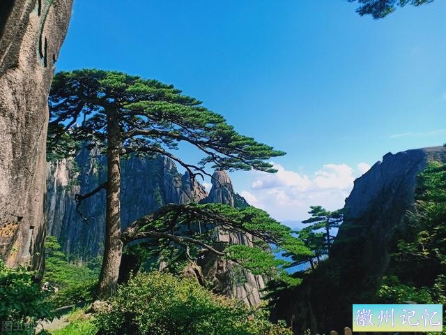 60幅黄山迎客松美图，太好看了-46.jpg