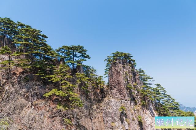 60幅黄山迎客松美图，太好看了-54.jpg