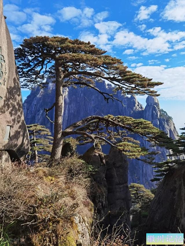 60幅黄山迎客松美图，太好看了-59.jpg