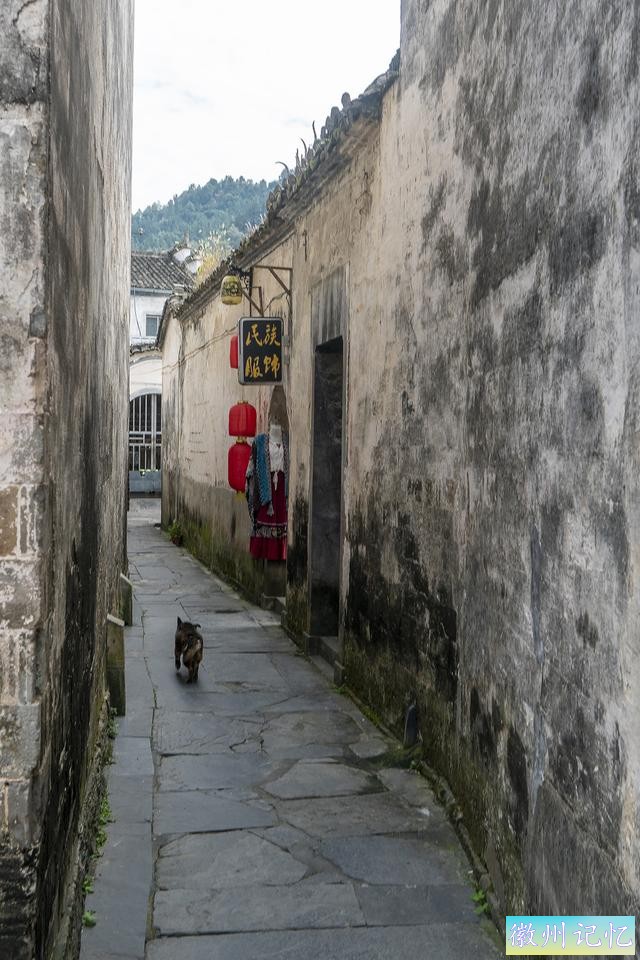 初秋走皖南赏古徽州之三：西递村-6.jpg