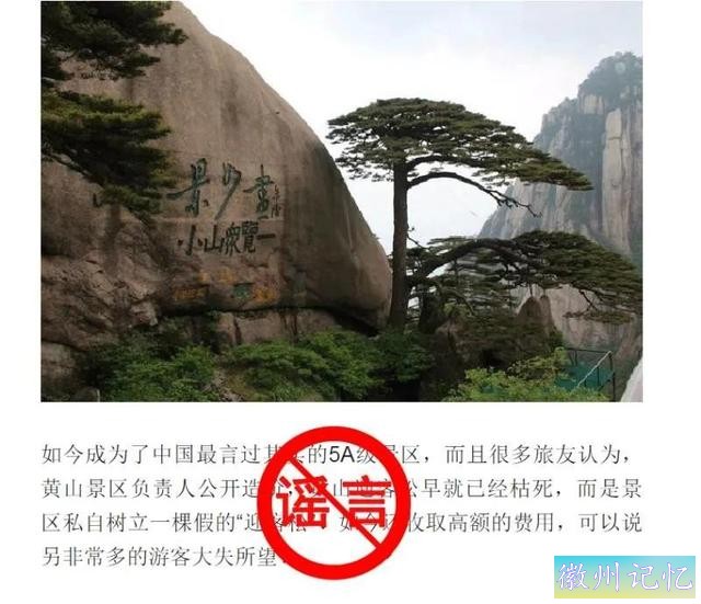 黄山迎客松是塑料的？官方回应来了-1.jpg