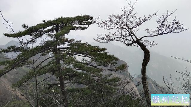到黄山去玩系列（之九）爬黄山，登临莲花峰光明顶！-4.jpg